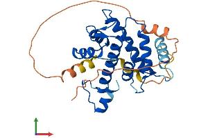 AlphaFold protein structure predicition of Human Recombinant CAPNS1 Protein, UniprotID P04632