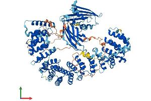 AlphaFold protein structure predicition of Human Recombinant AP2A1 Protein, UniprotID O95782