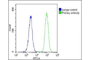 Overlay histogram showing U-2 OS cells stained with C(green line).