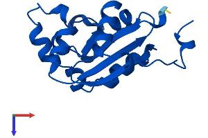 AlphaFold protein structure predicition of Mouse Recombinant Nme2 Protein, UniprotID Q01768