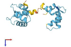 AlphaFold protein structure predicition of Mouse Recombinant Tnnc1 Protein, UniprotID P19123