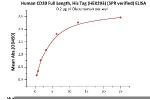 Immobilized Ofatumumab at 2 μg/mL (100 μL/well) can bind Human CD20 Full Length, His Tag, HEK293 (SPR verified) (ABIN6731296,ABIN6809865,ABIN6809866) with a linear range of 0.