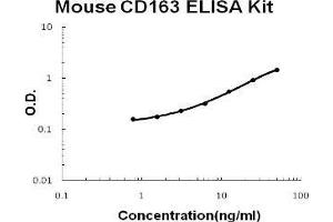 Mouse CD163 PicoKine ELISA Kit standard curve (CD163 Kit ELISA)
