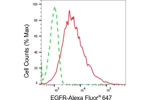 Flow cytometric analysis of EGFR expression in HepG2 cells using EGFR antibody (ABIN7798480), 1:2,000). (Recombinant EGFR anticorps)