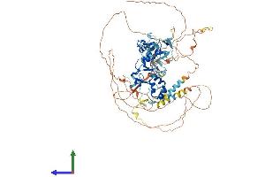AlphaFold protein structure predicition of Human Recombinant ABLIM1 Protein, UniprotID O14639