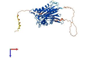 AlphaFold protein structure predicition of Mouse Recombinant Ilkap Protein, UniprotID Q8R0F6