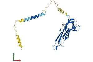 AlphaFold protein structure predicition of Human Recombinant TNF Protein, UniprotID P01375