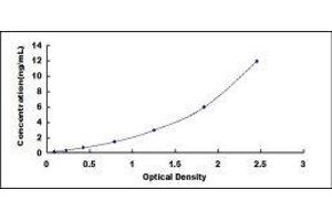 Typical standard curve (Afamin Kit ELISA)