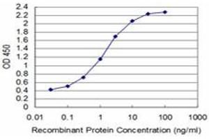 Detection limit for recombinant GST tagged T is approximately 0. (T Brachyury Protein (AA 222-320) anticorps)