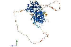 AlphaFold protein structure predicition of Human Recombinant BMX Protein, UniprotID P51813