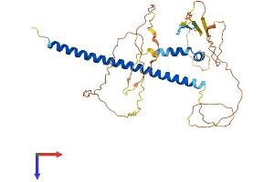 AlphaFold protein structure predicition of Mouse Recombinant Crem Protein, UniprotID P27699