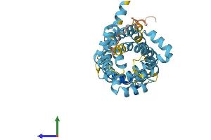 AlphaFold protein structure predicition of Mouse Recombinant Slc25a18 Protein, UniprotID Q9DB41