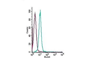 Cell surface detection of GPR84 by direct flow cytometry in live intact human  monocytic leukemia cells: + Rabbit IgG isotype control-PE. (GPR84 anticorps  (Extracellular) (PE))