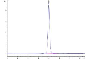 The purity of Cynomolgus PDGF R alpha is greater than 95 % as determined by SEC-HPLC.