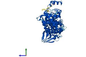 AlphaFold protein structure predicition of Mouse Recombinant Naprt Protein, UniprotID Q8CC86
