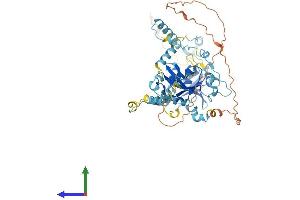 AlphaFold protein structure predicition of Mouse Recombinant Tsen54 Protein, UniprotID Q8C2A2