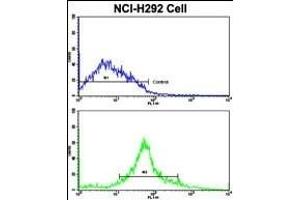 Flow cytometric analysis of NCI- cells using CDK3 Antibody (N-term Y19)(bottom histogram) compared to a negative control cell (top histogram).