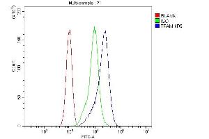 Flow Cytometry analysis of CACO-2 cells using anti-FAM antibody (ABIN7603113).