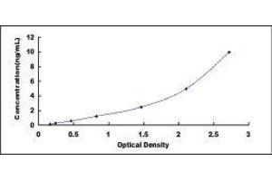 ADAM Metallopeptidase Domain 22 (ADAM22) ELISA Kit