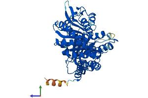 AlphaFold protein structure predicition of Human Recombinant TUBB Protein, UniprotID P07437