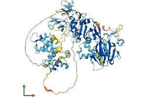 AlphaFold protein structure predicition of Human Recombinant DGKG Protein, UniprotID P49619