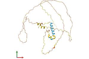 AlphaFold protein structure predicition of Human Recombinant CT47B1 Protein, UniprotID P0C2W7