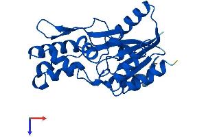 AlphaFold protein structure predicition of Human Recombinant PHOSPHO2 Protein, UniprotID Q8TCD6