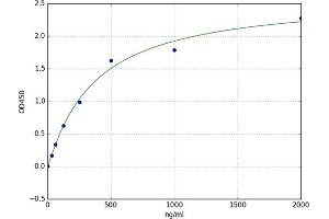 A typical standard curve