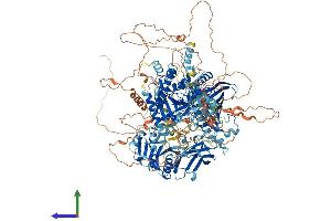 AlphaFold protein structure predicition of Mouse Recombinant Pitpnm2 Protein, UniprotID Q6ZPQ6