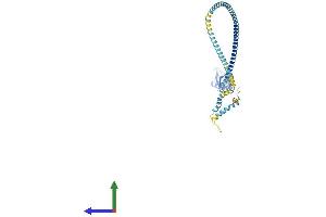 AlphaFold protein structure predicition of Human Recombinant FLOT1 Protein, UniprotID O75955
