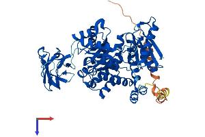 AlphaFold protein structure predicition of Mouse Recombinant Pklr Protein, UniprotID P53657