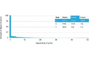 Analysis of Protein Array containing more than 19,000 full-length human proteins using CD11c Mouse Monoclonal Antibody (ITGAX/1243).