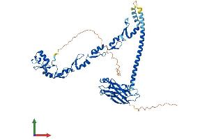 AlphaFold protein structure predicition of Human Recombinant TRAF6 Protein, UniprotID Q9Y4K3