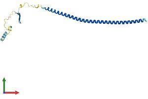 AlphaFold protein structure predicition of Human Recombinant STMN3 Protein, UniprotID Q9NZ72