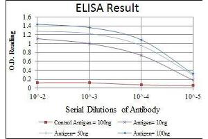 Red: Control Antigen (100 ng), Purple: Antigen (10 ng), Green: Antigen (50 ng), Blue: Antigen (100 ng),