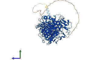 AlphaFold protein structure predicition of Human Recombinant ENPP1 Protein, UniprotID P22413