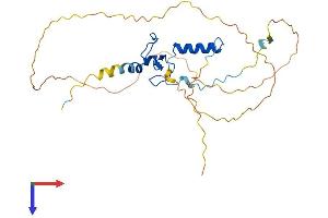 AlphaFold protein structure predicition of Human Recombinant PHF13 Protein, UniprotID Q86YI8