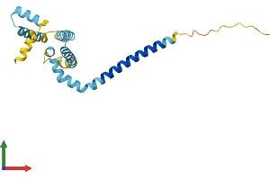 AlphaFold protein structure predicition of Mouse Recombinant Reep6 Protein, UniprotID Q9JM62