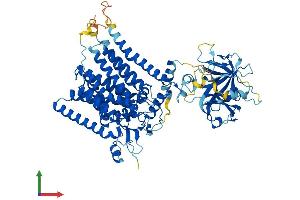 AlphaFold protein structure predicition of Human Recombinant POMT1 Protein, UniprotID Q9Y6A1
