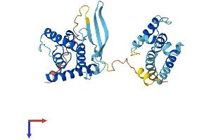 AlphaFold protein structure predicition of Mouse Recombinant Parvg Protein, UniprotID Q9ERD8