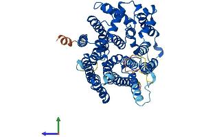 AlphaFold protein structure predicition of Human Recombinant ALG8 Protein, UniprotID Q9BVK2