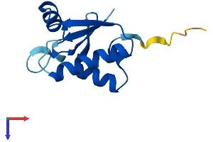 AlphaFold protein structure predicition of Mouse Recombinant Sh3bgrl2 Protein, UniprotID Q8BG73