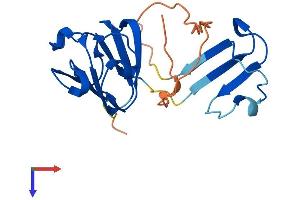 AlphaFold protein structure predicition of Human Recombinant CRYGN Protein, UniprotID Q8WXF5