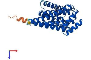AlphaFold protein structure predicition of Human Recombinant YWHAQ Protein, UniprotID P27348