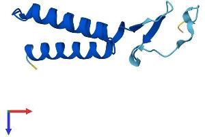 AlphaFold protein structure predicition of Mouse Recombinant Lyrm7 Protein, UniprotID Q9DA03
