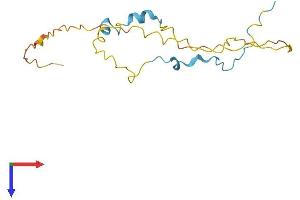 AlphaFold protein structure predicition of Mouse Recombinant Coprs Protein, UniprotID Q9CQ13