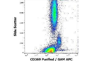 Flow cytometry surface staining pattern of human peripheral whole blood stained using anti-human CD369 (15E2) purified antibody (concentration in sample 1,7 μg/mL, GAM APC). (CLEC7A anticorps)