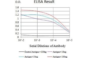 Black line: Control Antigen (100 ng),Purple line: Antigen (10 ng), Blue line: Antigen (50 ng), Red line:Antigen (100 ng) (LRP3 anticorps  (AA 43-184))