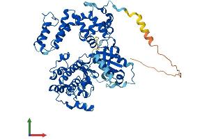 AlphaFold protein structure predicition of Human Recombinant GRK5 Protein, UniprotID P34947