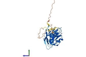 AlphaFold protein structure predicition of Human Recombinant NEURL3 Protein, UniprotID Q96EH8